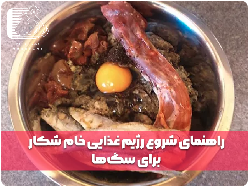 راهنمای شروع رژیم غذایی خام شکار برای سگ‌ها